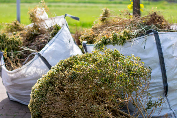 Best Attic Cleanout Services  in Hebbronville, TX