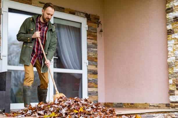 Best Commercial Cleanout Services  in Hebbronville, TX